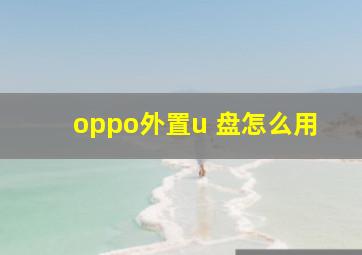 oppo外置u 盘怎么用